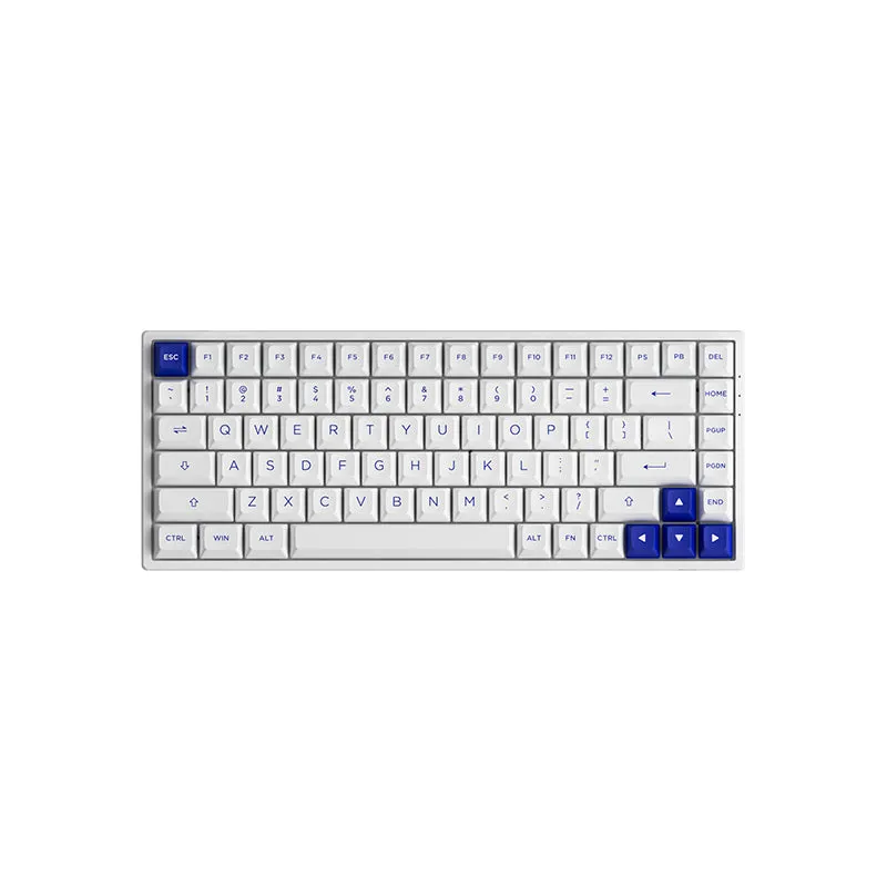 Akko Blue on White 3084B Plus Multi-Modes RGB Hot-Swappable Mechanical Keyboard (Akko V3 Cream Yellow)