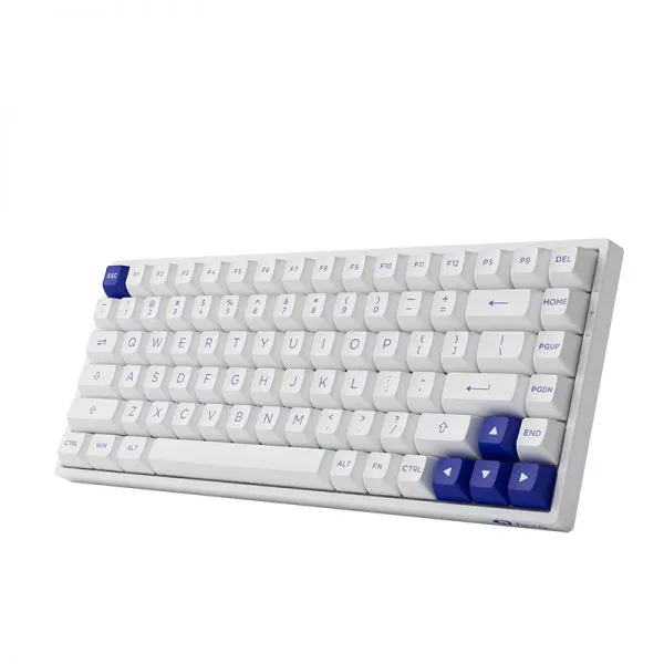 Akko Blue on White 3084B Plus Multi-Modes RGB Hot-Swappable Mechanical Keyboard (Akko V3 Cream Yellow)