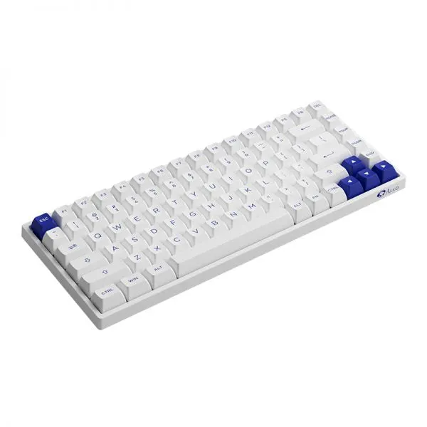 Akko Blue on White 3084B Plus Multi-Modes RGB Hot-Swappable Mechanical Keyboard (Akko V3 Cream Yellow)