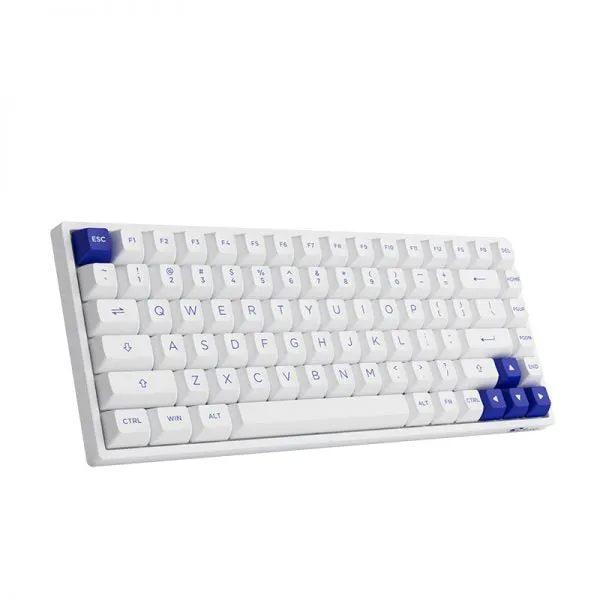 Akko Blue on White 3084B Plus Multi-Modes RGB Hot-Swappable Mechanical Keyboard (Akko V3 Cream Yellow)