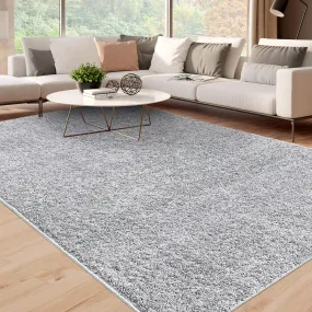 GARVEE 4x6 Rugs for Bedroom Grey Shag Rug Living Room Rugs Shaggy Office Rug Soft Plush Indoor Rugs for Dorm Solid Nursery Rug Farmhouse Floor Cover Silver Grey